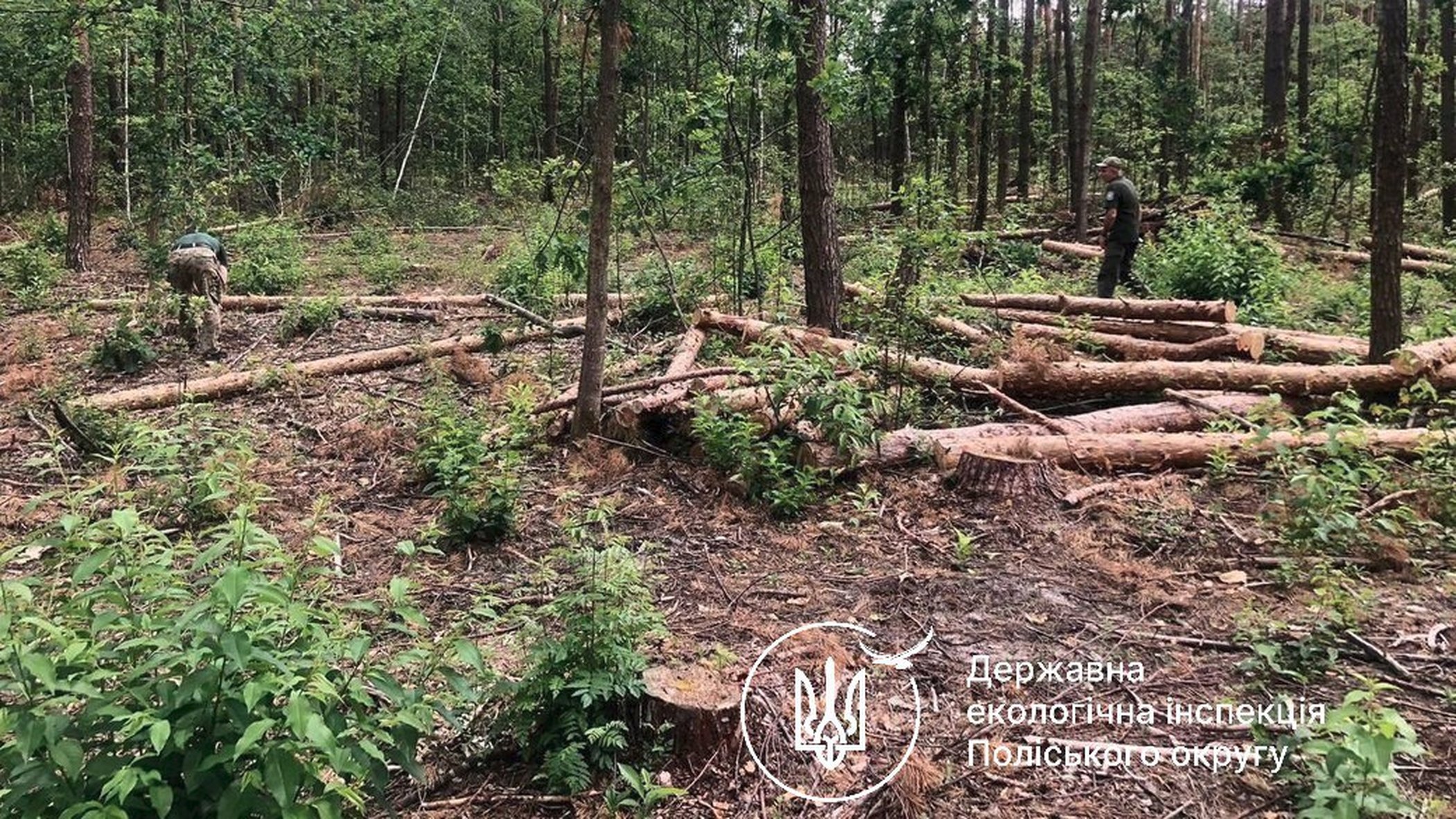 Держекоінспекція підрахувала збитки: за тиждень порушникам пред'явлено претензії на понад 3 мільйони гривень