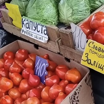 Дефіцит овочів у Дніпропетровській області: ситуація ускладнюється